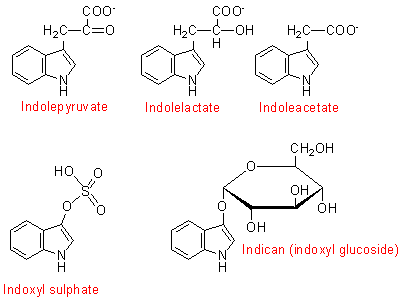 indoles