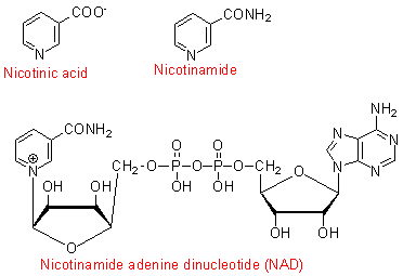 niacin
