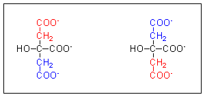 citrate