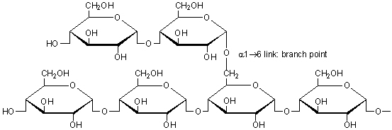 glycogen