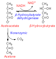 ketones