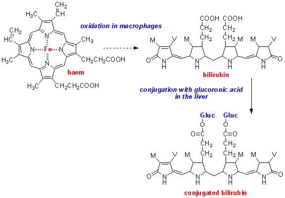 bile pigments