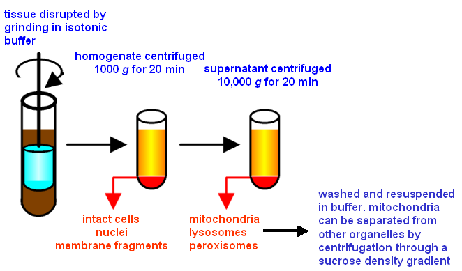 centrifugation
