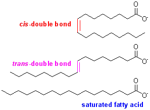 cis-trans sat