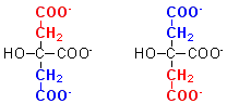 citrate symmetry